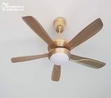  Quạt trần đèn 5 cánh QTD012 