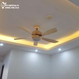  Quạt trần đèn 5 cánh QTD012 