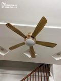  Quạt trần đèn 5 cánh QTD012 