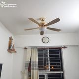  Quạt trần đèn 5 cánh QTD012 
