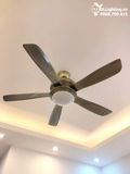  Quạt trần đèn 5 cánh QTD013 
