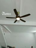  Quạt trần đèn 5 cánh QTD013 
