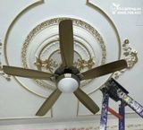  Quạt trần đèn 5 cánh QTD013 