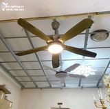  Quạt trần đèn 5 cánh QTD013 