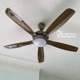  Quạt trần đèn 5 cánh QTD013 