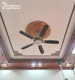  Quạt trần đèn 5 cánh QTD013 