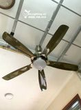  Quạt trần đèn 5 cánh QTD013 