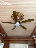  Quạt trần đèn 5 cánh QTD013 