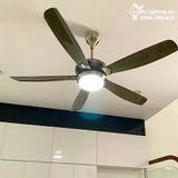  Quạt trần đèn 5 cánh QTD0014 