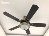  Quạt trần đèn 5 cánh gỗ QTD015-1 