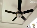  Quạt trần đèn 5 cánh gỗ QTD015-1 