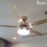  Quạt trần đèn 5 cánh thép QTD016 