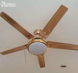  Quạt trần đèn 5 cánh thép QTD016 
