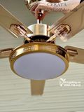  Quạt trần đèn 5 cánh thép QTD016 