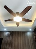  Quạt trần đèn 5 cánh QTD018-1 