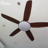  Quạt trần đèn 5 cánh QTD018-1 