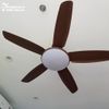  Quạt trần đèn 5 cánh QTD018-1 