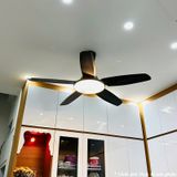  Quạt trần đèn QTD018-2 