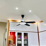  Quạt trần đèn QTD018-2 