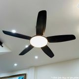  Quạt trần đèn QTD018-2 