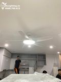  Quạt trần đèn 5 cánh QTD019 