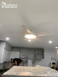  Quạt trần đèn 5 cánh QTD019 