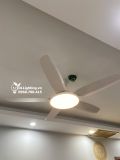  Quạt trần đèn 5 cánh QTD019 