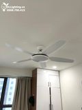  Quạt trần đèn 5 cánh QTD019 