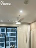  Quạt trần đèn 5 cánh QTD019 