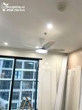  Quạt trần đèn 5 cánh QTD019 