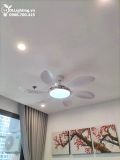  Quạt trần đèn 6 cánh QTD020 