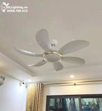  Quạt trần đèn 6 cánh QTD020 