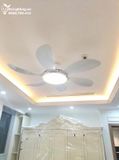  Quạt trần đèn 6 cánh QTD020 