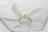  Quạt trần đèn 6 cánh QTD020 