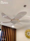  Quạt trần đèn 6 cánh QTD020 