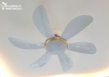  Quạt trần đèn 6 cánh QTD020 