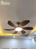  Quạt trần đèn 6 cánh QTD021 