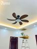 Quạt trần đèn 6 cánh QTD021