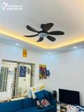  Quạt trần đèn 6 cánh QTD021 