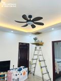  Quạt trần đèn 6 cánh QTD021 
