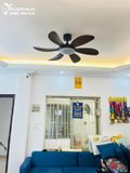  Quạt trần đèn 6 cánh QTD021 