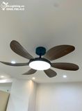  Quạt trần đèn 6 cánh QTD021 