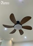  Quạt trần đèn 6 cánh QTD021 