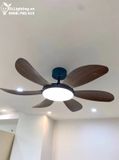  Quạt trần đèn 6 cánh QTD021 
