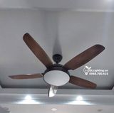  Quạt trần đèn 5 cánh QTD023 