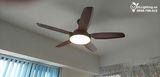  Quạt trần đèn 5 cánh QTD023 