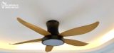  Quạt trần đèn 5 cánh QTD024 