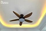  Quạt trần đèn 5 cánh QTD025 
