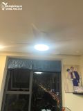  Quạt trần đèn 5 cánh QTD026 