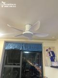  Quạt trần đèn 5 cánh QTD026 